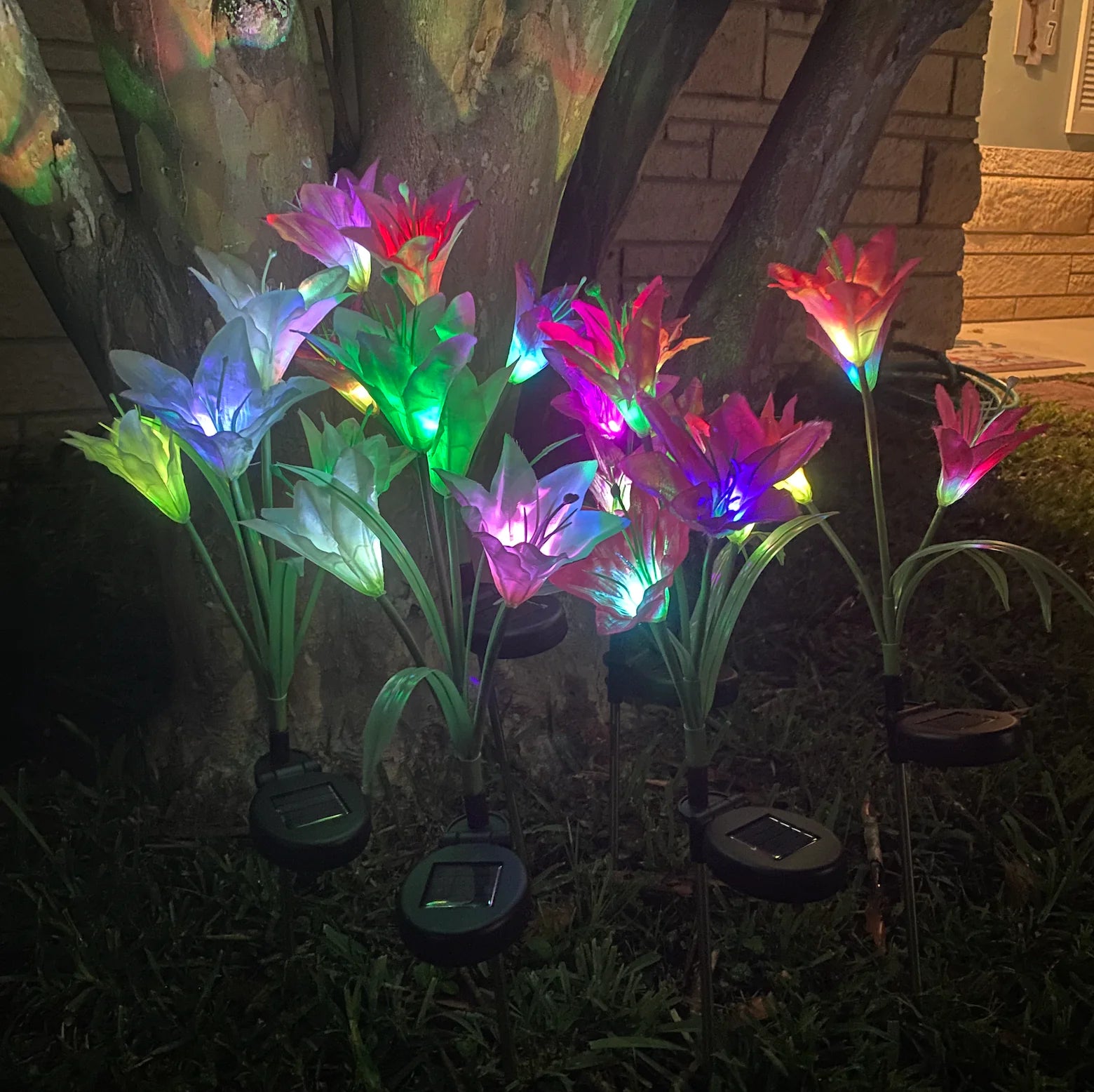 Elegant Eco-Friendly Enchanted Solar Lilies