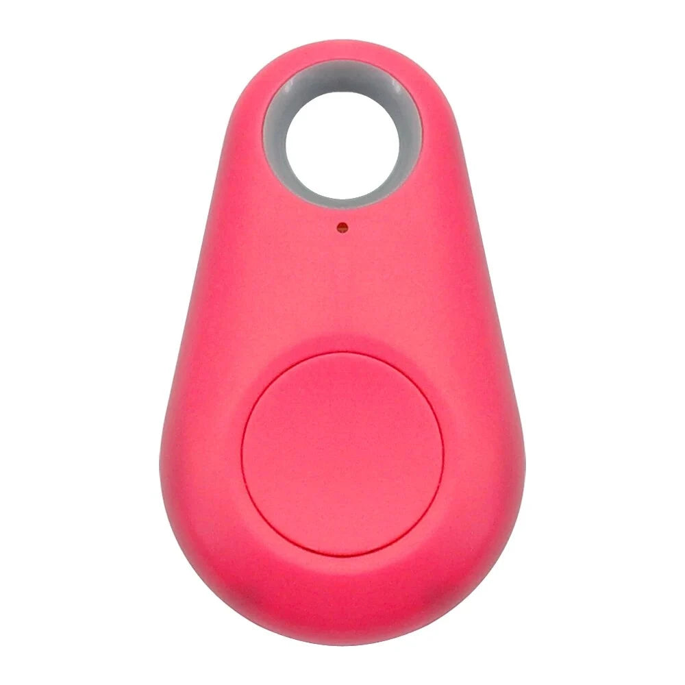 Pet Smart GPS Tracker