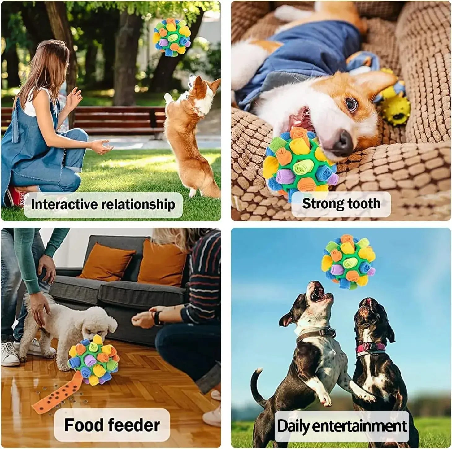 Enhance Pet Foraging Instincts