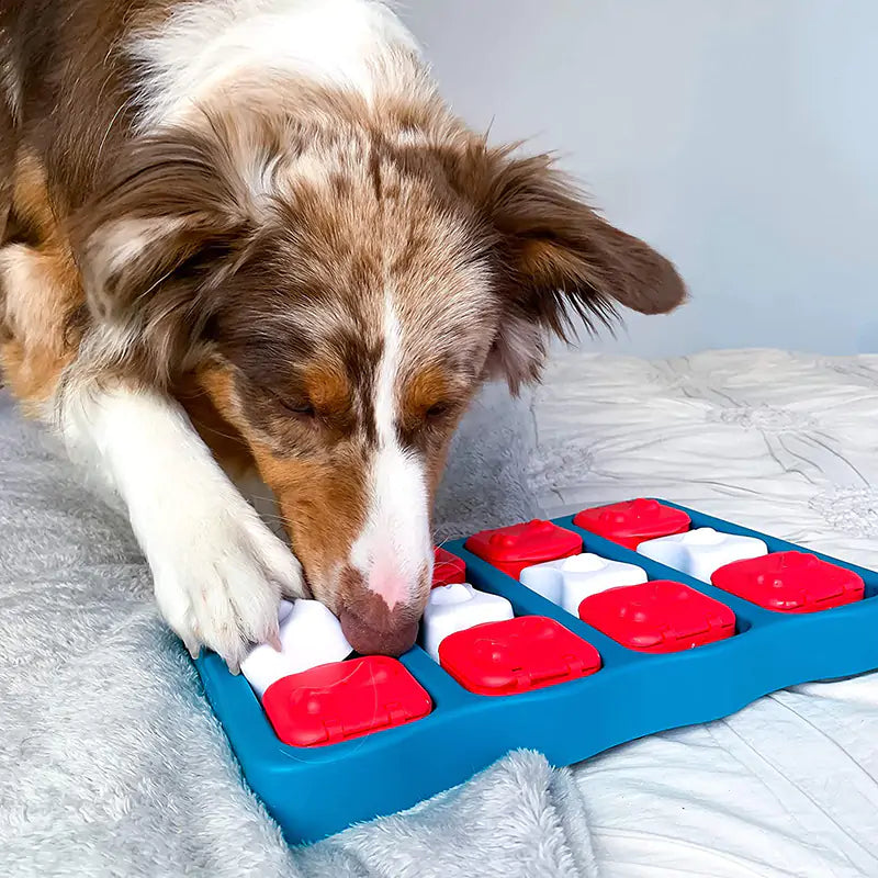 Pet Treasure Box Toy