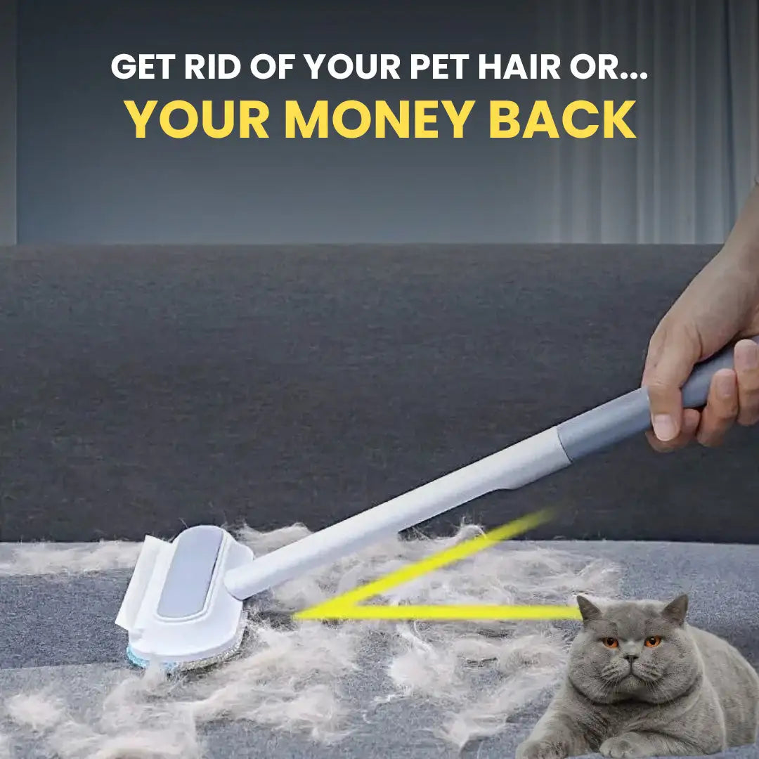 Pet Hair Cleaning Brush