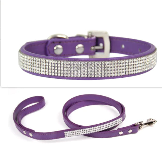 Pet Collar Leash Set